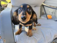 processed/c5c7f48d-20cc-43d5-a7b5-cea4f7bad5b9/listing/bb2fd561-e554-44c7-aa0f-5001470355e8/b9d4d554-2a2b-407e-8b25-747776132212