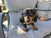 processed/c5c7f48d-20cc-43d5-a7b5-cea4f7bad5b9/listing/bb2fd561-e554-44c7-aa0f-5001470355e8/cdc6eed2-1fbc-44e0-8bcd-bc0c740de3e0