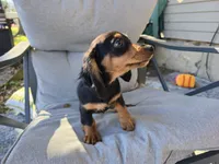 processed/c5c7f48d-20cc-43d5-a7b5-cea4f7bad5b9/listing/bb2fd561-e554-44c7-aa0f-5001470355e8/cf201a66-0e85-428b-b2c4-f70a8f44612f