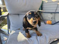 processed/c5c7f48d-20cc-43d5-a7b5-cea4f7bad5b9/listing/bb2fd561-e554-44c7-aa0f-5001470355e8/d4e8375e-b7e5-4ad9-801b-b7babbd2c592