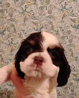 processed/c5c99864-f4f1-4040-b5e3-270dffdb1db1/listing/6dde4c45-ca28-448a-90a9-a30b1c5fbfff/d3d7184f-f1ad-4944-a663-442e5c533146