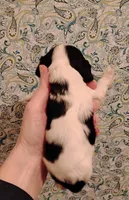 processed/c5c99864-f4f1-4040-b5e3-270dffdb1db1/listing/ee131150-10b1-4b18-93fc-850527fe33f3/d397cbd3-0fa6-40b9-8796-1b4466946033