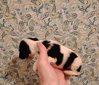 processed/c5c99864-f4f1-4040-b5e3-270dffdb1db1/listing/ee131150-10b1-4b18-93fc-850527fe33f3/fb108af7-ccd7-427e-969b-97db4d088899