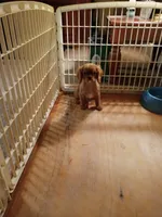 processed/c5cb2a24-efd8-4704-8de0-0cea59ea4ca2/listing/f548c229-91bc-461f-84cf-8fd69da3fd0a/55b922bb-a9d3-406b-b724-10b308f5d443