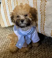 processed/c5cd2bf1-122e-4b9f-8f06-ce26ccb8d880/listing/6a1812d0-c64e-4132-9004-217f0770a5c1/1f50dfc7-9556-4e84-ad70-0c5770f232a5