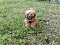 processed/c5cd2bf1-122e-4b9f-8f06-ce26ccb8d880/listing/6a1812d0-c64e-4132-9004-217f0770a5c1/455d2929-2993-4cb6-8721-46c27a350525