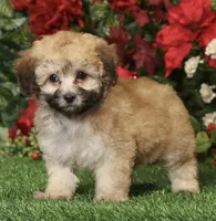 processed/c5cd2bf1-122e-4b9f-8f06-ce26ccb8d880/listing/6a1812d0-c64e-4132-9004-217f0770a5c1/70036e69-ad29-4123-8116-501c8695e43e