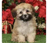 processed/c5cd2bf1-122e-4b9f-8f06-ce26ccb8d880/listing/6a1812d0-c64e-4132-9004-217f0770a5c1/88ed8ca0-8a30-4641-9ec6-450ccd26cec5