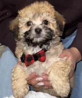 processed/c5cd2bf1-122e-4b9f-8f06-ce26ccb8d880/listing/6a1812d0-c64e-4132-9004-217f0770a5c1/898c5b5e-168a-4b57-92ac-1a3c6c70edc8