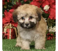 processed/c5cd2bf1-122e-4b9f-8f06-ce26ccb8d880/listing/6a1812d0-c64e-4132-9004-217f0770a5c1/f8f73385-dda0-4eda-83ed-e32c89489b53