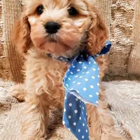 processed/c5d0fbb8-c047-4288-ae6c-2ab510d836aa/facility/354efe3c-3d0c-40af-900e-cf43b4edae5c