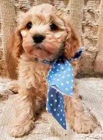 processed/c5d0fbb8-c047-4288-ae6c-2ab510d836aa/facility/354efe3c-3d0c-40af-900e-cf43b4edae5c