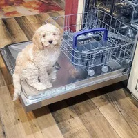 processed/c5d0fbb8-c047-4288-ae6c-2ab510d836aa/facility/453d55b6-4de9-40f4-8b98-57bb9d853754