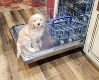 processed/c5d0fbb8-c047-4288-ae6c-2ab510d836aa/facility/453d55b6-4de9-40f4-8b98-57bb9d853754