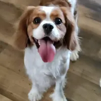 processed/c5d0fbb8-c047-4288-ae6c-2ab510d836aa/facility/4c358112-1772-476b-8e38-853ab79bce85