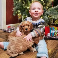 processed/c5d0fbb8-c047-4288-ae6c-2ab510d836aa/facility/eba9ef7a-7ba1-4dbd-a9df-81ff89ab811d