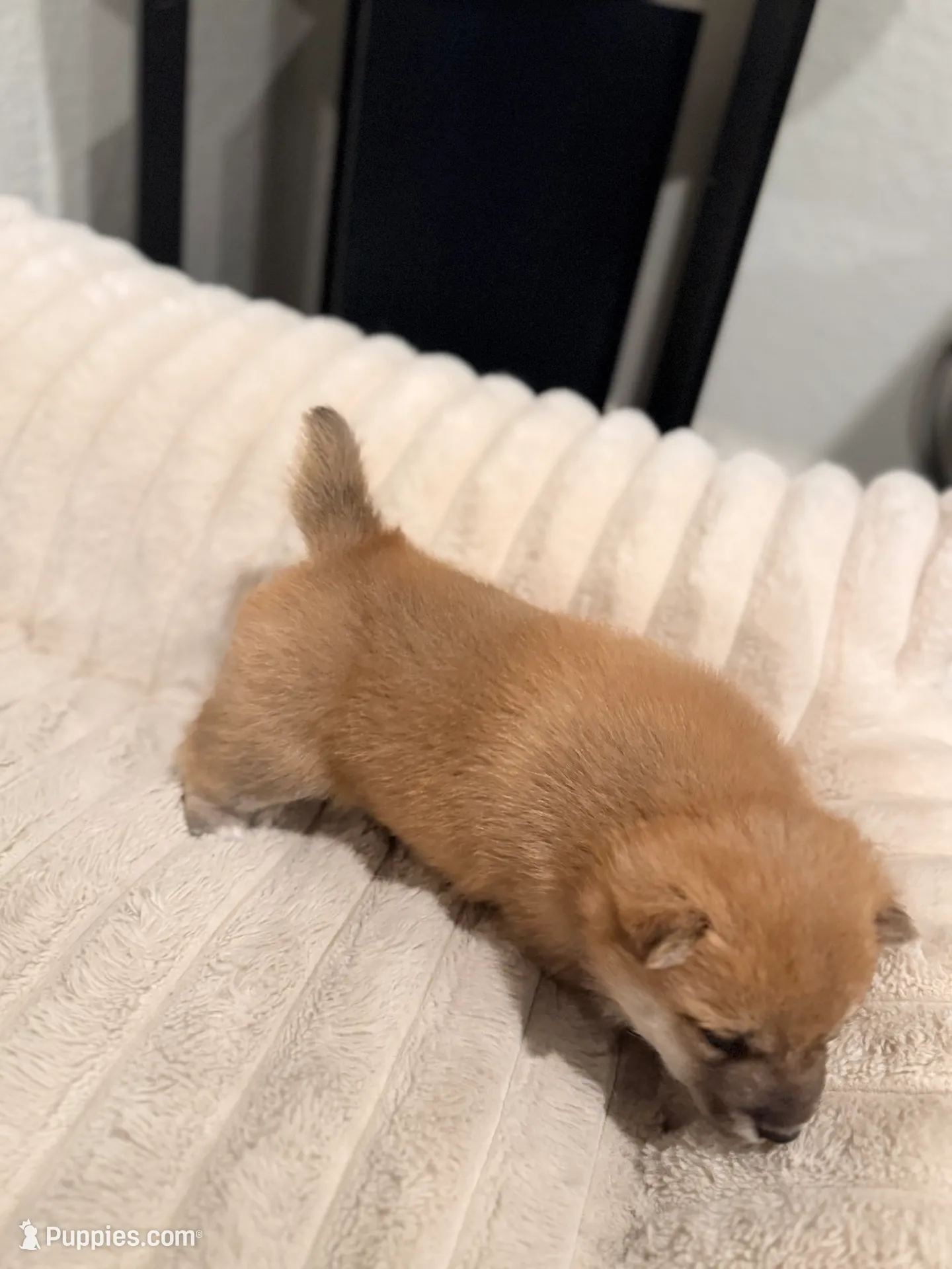 processed/c5d67483-bfa6-484e-92a4-67e433fd7d9a/listing/60525e62-4256-4e50-b12d-3ed58b0a6328/6a2a71d9-97ee-440f-81a4-7068cda58597