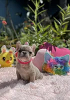 processed/c5d893f0-684f-4574-a58e-2b177b6486b8/facility/26b1ac4e-cc90-4a0b-b364-723f5f68e15f