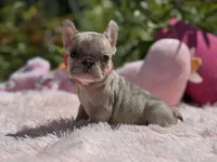 processed/c5d893f0-684f-4574-a58e-2b177b6486b8/facility/41539499-d871-41bf-bba0-150be1b6a6a5