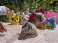 processed/c5d893f0-684f-4574-a58e-2b177b6486b8/facility/5017f85e-ddf2-4145-aa45-f23100cda94f