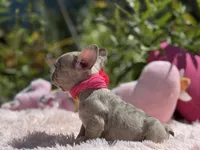 processed/c5d893f0-684f-4574-a58e-2b177b6486b8/facility/9b4c5334-8b85-4125-b9d3-269106732edf