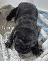 processed/c5da15d6-3f1d-4a7d-bffa-3de5692b667b/listing/41e0c9ec-436c-4f00-a37a-206de4c13ea9/80dc4470-e2ed-4622-be11-de6953a56712