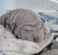 processed/c5da15d6-3f1d-4a7d-bffa-3de5692b667b/listing/db353370-0c29-4d1a-8156-0105ca4f89ac/078d18f6-2bc0-43b3-b4e0-c94e8f8da576