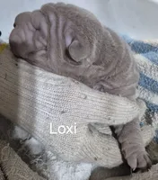 processed/c5da15d6-3f1d-4a7d-bffa-3de5692b667b/listing/db353370-0c29-4d1a-8156-0105ca4f89ac/dc9dd869-1115-4d42-bdd0-b342eec67e8c