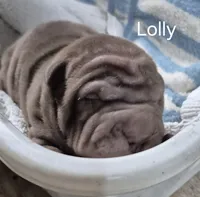 processed/c5da15d6-3f1d-4a7d-bffa-3de5692b667b/listing/dbc8070f-835d-4323-9a51-694422800bf3/baa1fdc0-7ce6-4b82-89a5-f7635aa48787