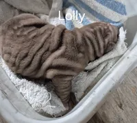 processed/c5da15d6-3f1d-4a7d-bffa-3de5692b667b/listing/dbc8070f-835d-4323-9a51-694422800bf3/c9495c66-92e8-4c12-ad9c-21acf35b1a47