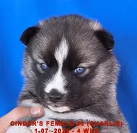 processed/c5da8ec5-314b-49ae-8eda-ad786f99f54f/listing/0da35cd7-dc4b-4378-857d-9e44a307421b/2629f44a-bfc4-483d-8ed4-35ebb9d16662