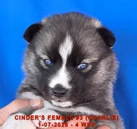 processed/c5da8ec5-314b-49ae-8eda-ad786f99f54f/listing/0da35cd7-dc4b-4378-857d-9e44a307421b/317845d9-7431-495b-9a8e-9395493b0a36