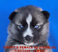 processed/c5da8ec5-314b-49ae-8eda-ad786f99f54f/listing/0da35cd7-dc4b-4378-857d-9e44a307421b/86e82324-5dc9-455d-8200-0d160bfceb49