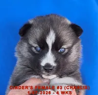 processed/c5da8ec5-314b-49ae-8eda-ad786f99f54f/listing/0da35cd7-dc4b-4378-857d-9e44a307421b/a8c9fa88-e076-41b4-8546-7ec8320c080d