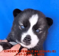 processed/c5da8ec5-314b-49ae-8eda-ad786f99f54f/listing/183044b6-b3f1-4da7-a19d-0a221966fdc9/c81caad9-0352-4f57-b1e7-097859227023