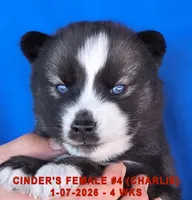 processed/c5da8ec5-314b-49ae-8eda-ad786f99f54f/listing/183044b6-b3f1-4da7-a19d-0a221966fdc9/f066d576-47cd-476c-a384-8f7bbc989cfa