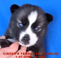 processed/c5da8ec5-314b-49ae-8eda-ad786f99f54f/listing/183044b6-b3f1-4da7-a19d-0a221966fdc9/f54fe7ae-9766-4a53-9711-c545031f7f21