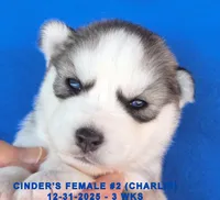 processed/c5da8ec5-314b-49ae-8eda-ad786f99f54f/listing/1c9db536-cb56-4d02-b366-e6594a2ea24d/3b1776b2-afa8-4df1-800e-116c95f214f6