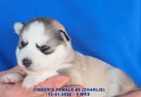 processed/c5da8ec5-314b-49ae-8eda-ad786f99f54f/listing/1c9db536-cb56-4d02-b366-e6594a2ea24d/73f1f5e4-e75c-45ec-b564-df8ce517906f