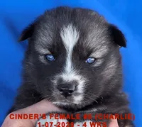 processed/c5da8ec5-314b-49ae-8eda-ad786f99f54f/listing/399cc7b2-ae87-48ca-b28b-a793204be821/0d76ed26-041a-4684-8126-fba5e62b2173