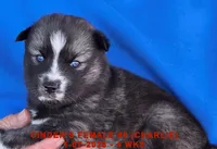 processed/c5da8ec5-314b-49ae-8eda-ad786f99f54f/listing/399cc7b2-ae87-48ca-b28b-a793204be821/33515bca-7850-4b4a-b88e-9b3a46d4ac38