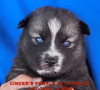 processed/c5da8ec5-314b-49ae-8eda-ad786f99f54f/listing/399cc7b2-ae87-48ca-b28b-a793204be821/57694f05-57f2-4e88-b1e7-856734c985b6