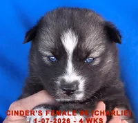 processed/c5da8ec5-314b-49ae-8eda-ad786f99f54f/listing/399cc7b2-ae87-48ca-b28b-a793204be821/5a032415-3947-4212-99de-16990c905001