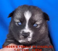 processed/c5da8ec5-314b-49ae-8eda-ad786f99f54f/listing/399cc7b2-ae87-48ca-b28b-a793204be821/e74f9a5a-138b-4683-9139-8b51489150ad