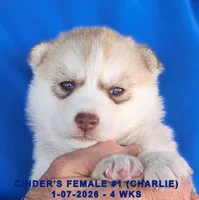 processed/c5da8ec5-314b-49ae-8eda-ad786f99f54f/listing/ab43bcee-dcdd-4bfc-8950-ba3e0067f67d/bd53eeae-c9f8-4c26-8a28-39d263e2b7cf