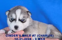 processed/c5da8ec5-314b-49ae-8eda-ad786f99f54f/listing/af5def69-0026-454c-af4f-59c843e0b081/2a30fcbd-7af3-4c9e-976f-e0580d48a561