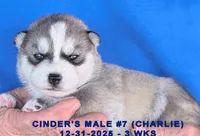 processed/c5da8ec5-314b-49ae-8eda-ad786f99f54f/listing/af5def69-0026-454c-af4f-59c843e0b081/4dc2b409-4183-4ae3-bb2b-7b11d511bce4