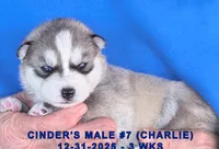 processed/c5da8ec5-314b-49ae-8eda-ad786f99f54f/listing/af5def69-0026-454c-af4f-59c843e0b081/9437281e-e768-4cef-a6f8-6aa62f6a40b8