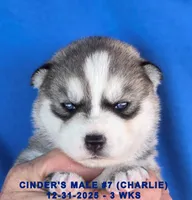 processed/c5da8ec5-314b-49ae-8eda-ad786f99f54f/listing/af5def69-0026-454c-af4f-59c843e0b081/f0d56030-0ee1-4984-8645-27bf638fa9f3