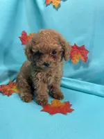 processed/c5db4f5c-037a-481b-b0f3-2dffa5cc770b/facility/707e8d53-05a8-4e6d-b66a-a0bbd900bb7a